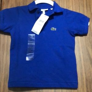 sky blue lacoste polo